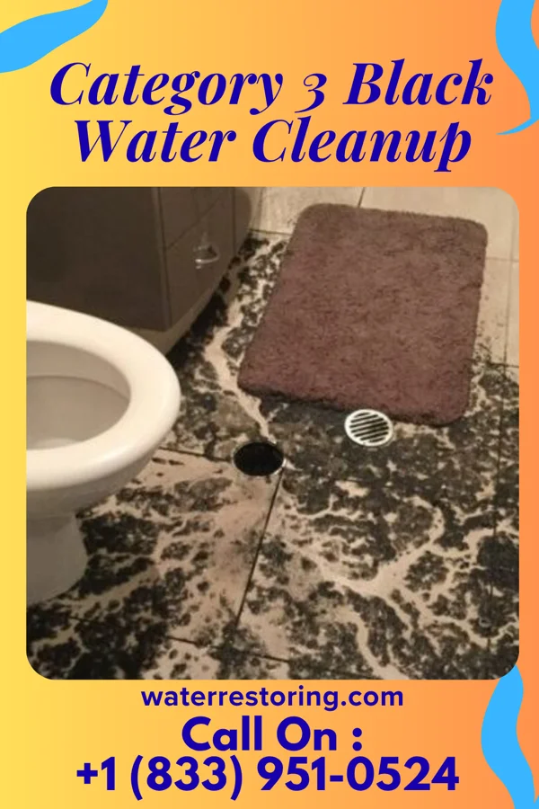 Category 3 Black Water Cleanup in Shelltown, PA