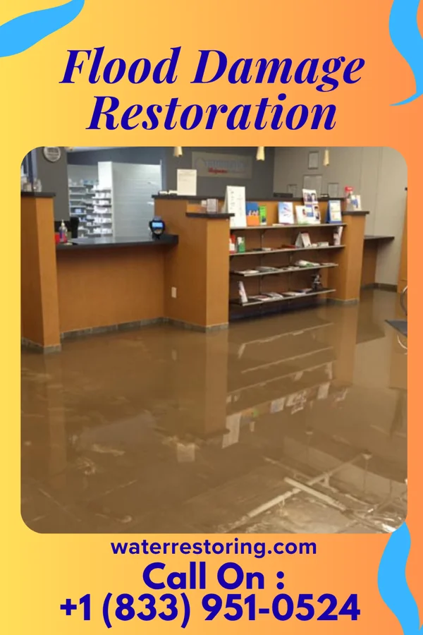 Flood Damage Restoration in Shelltown, PA