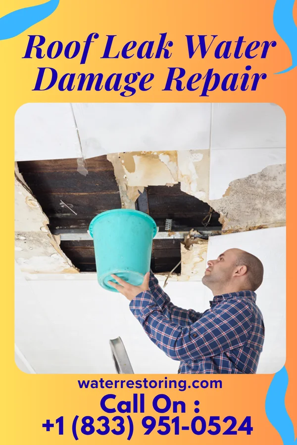 Roof Leak Water Damage Repair in Shelltown, PA
