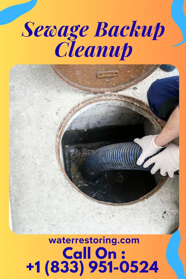 Sewage Backup Cleanup in Shelltown, PA