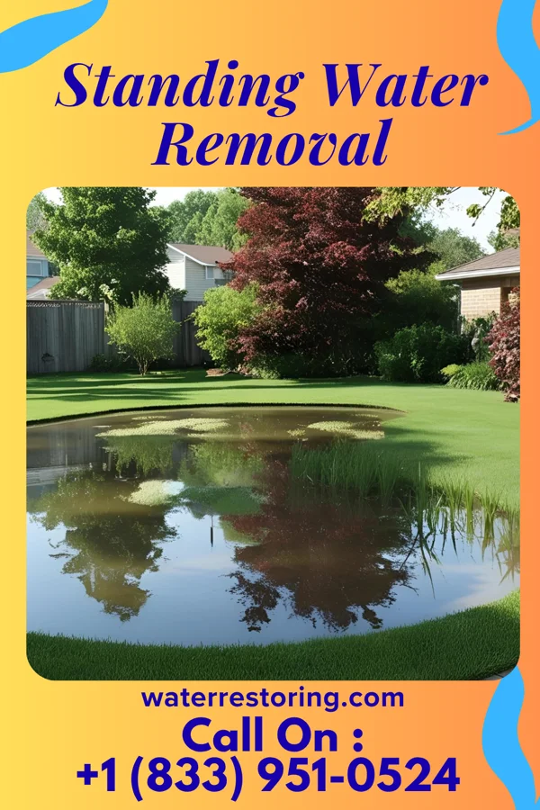 Standing Water Removal in Shelltown, PA